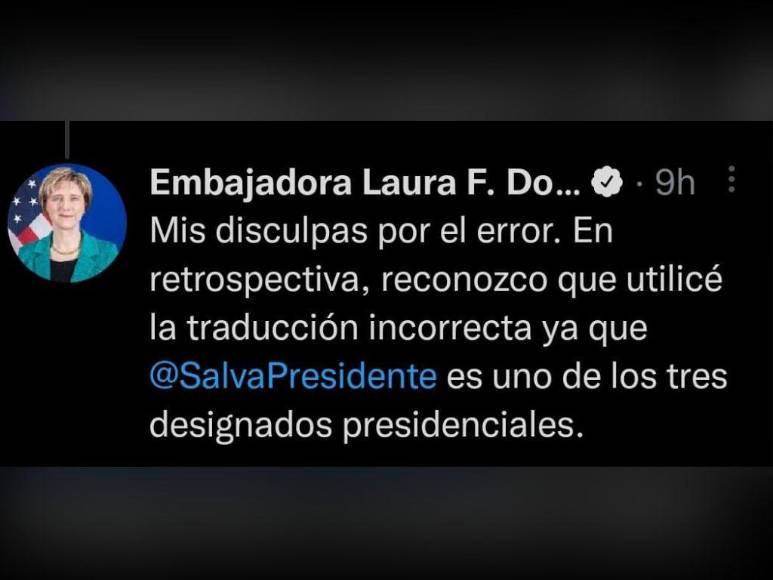 Los encontronazos entre el canciller Reina y la embajadora Laura Dogu