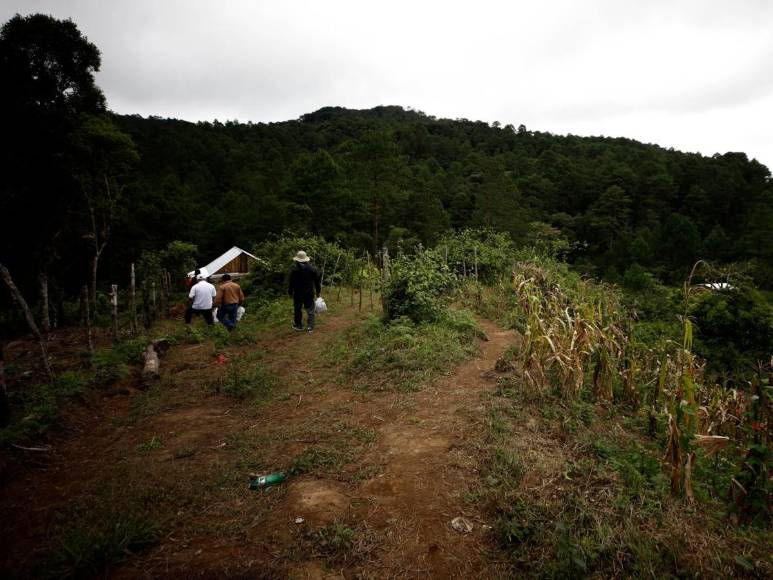 Una cartera con las iniciales HH, escombros y un monumento: nuevas fotos de la zona donde murió Hilda Hernández