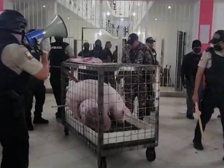 El insólito hallazgo en una cárcel de Ecuador