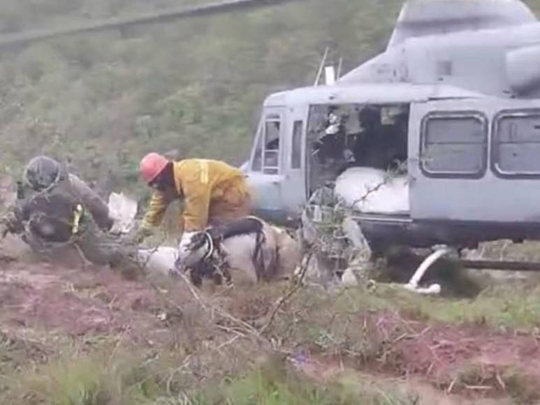 Así fue el traslado de los cuerpos de los cuatro jóvenes desaparecidos en mudanza a la capital