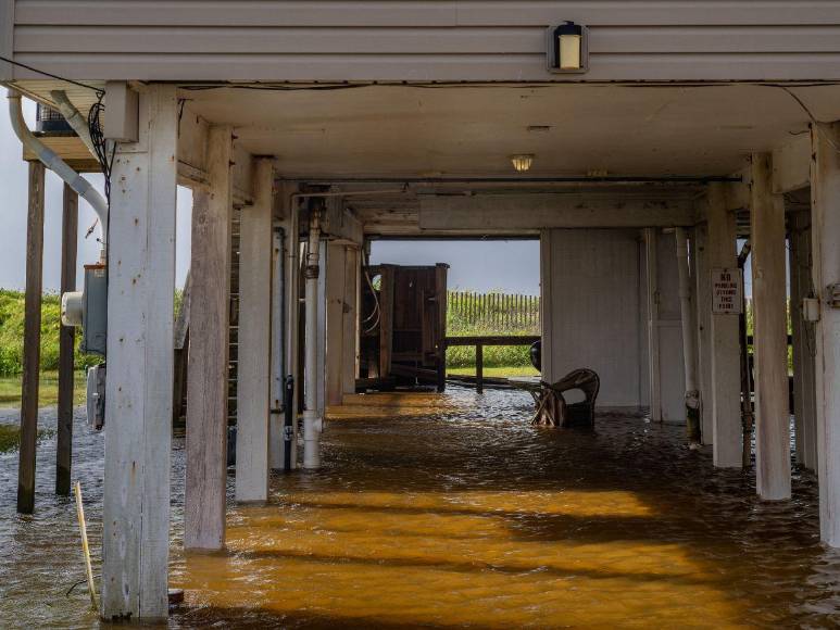 Muertos, calles inundadas y árboles caídos provoca tormenta Alberto en México