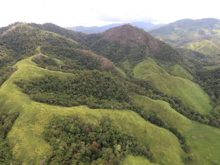 Narcotráfico, tala y siembra ilegal: el recorrido de EL HERALDO en La Mosquitia