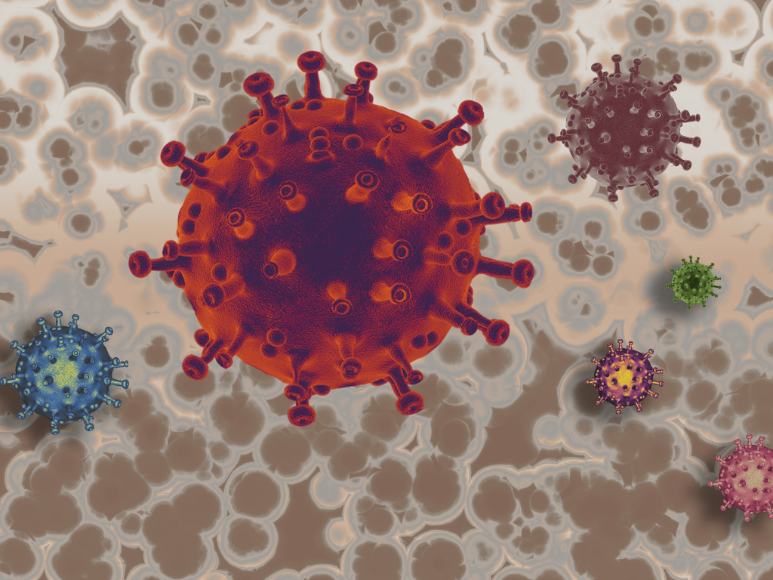 ¿Por qué las superbacterias son la nueva gran amenaza?