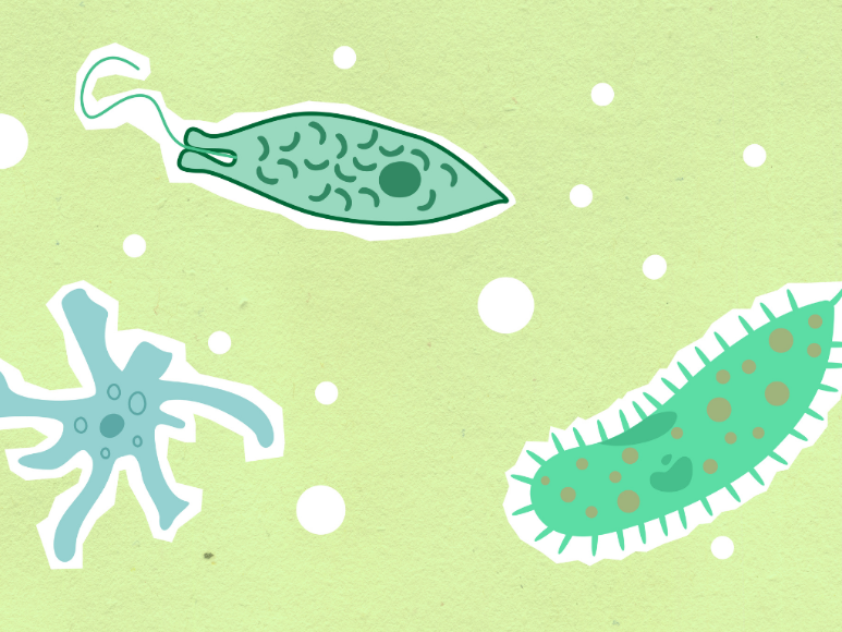 ¿Por qué las superbacterias son la nueva gran amenaza?