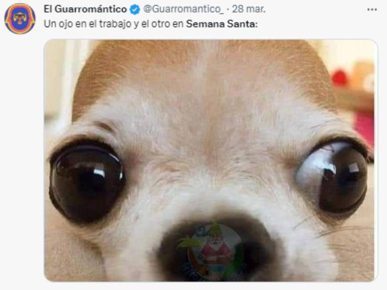 Semana Santa 2023: Los divertidos memes previo al feriado