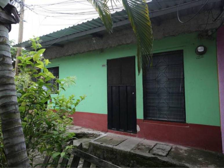 Cubiertos con ramas y semidesnudos: así hallaron a jóvenes desaparecidos en mudanza