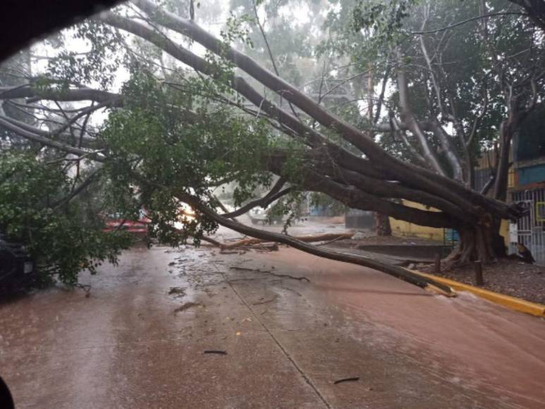 Caos y vulnerabilidad: así luce la capital tras varios minutos de lluvia
