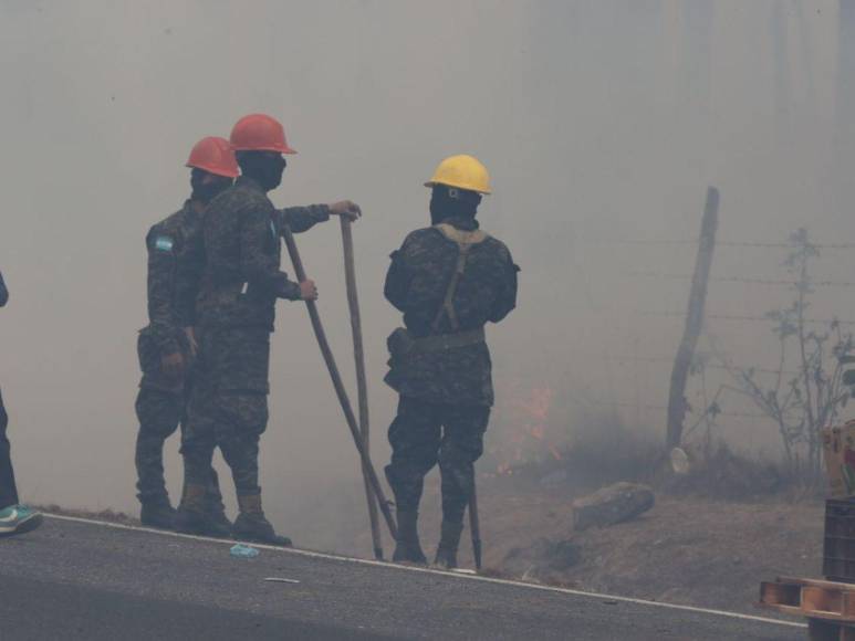 Incendio forestal destruye hectáreas de bosque y provoca una intensa capa de humo en Zambrano