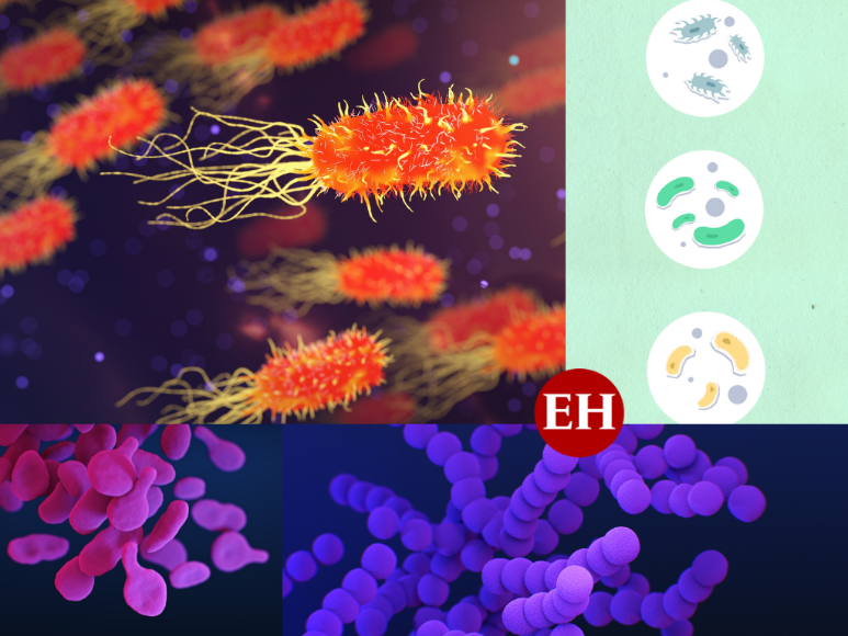 ¿Por qué las superbacterias son la nueva gran amenaza?