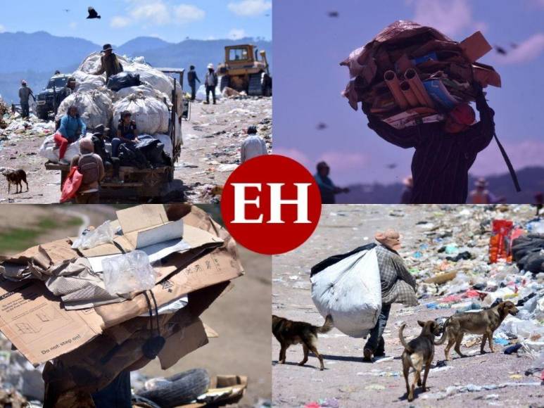 El reflejo del sufrimiento en el rostro de los pepenadores del Crematorio (Fotos)