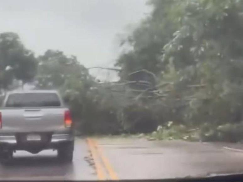 Calles inundadas, autos atrapados y daños por lluvias en la capital