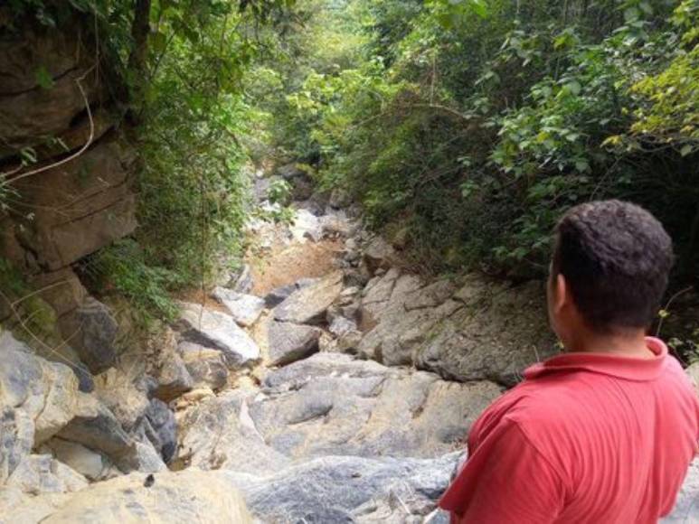 Fue a un mandado con su hermanita y dos hombres se la llevaron: lo que se sabe del asesinato de Sulmy Rodríguez