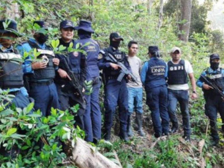 Armas, plantaciones destruidas y droga decomisada: Resultados de operaciones en la conflictiva región de Colón (Fotos)