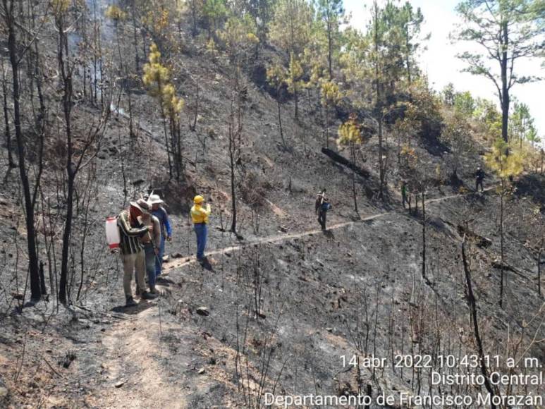 Con machetes, Batefuego y voluntad combaten incendio forestal en La Montañita (Fotos)