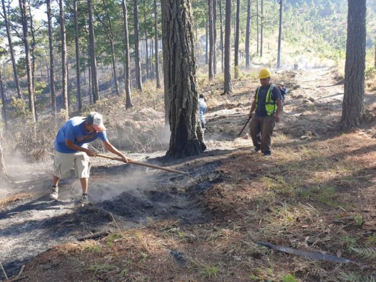 Con machetes, Batefuego y voluntad combaten incendio forestal en La Montañita (Fotos)
