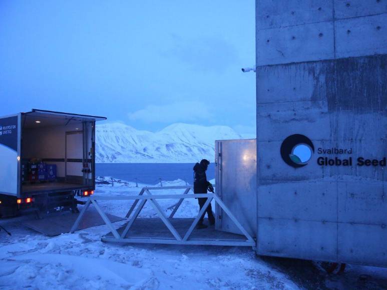 Así es la ‘bóveda del fin del mundo’, donde se guardan las semillas básicas ante cualquier catástrofe