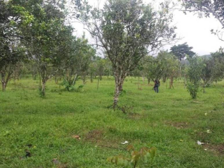 Estos son los bienes que serían devueltos a la familia Rosenthal