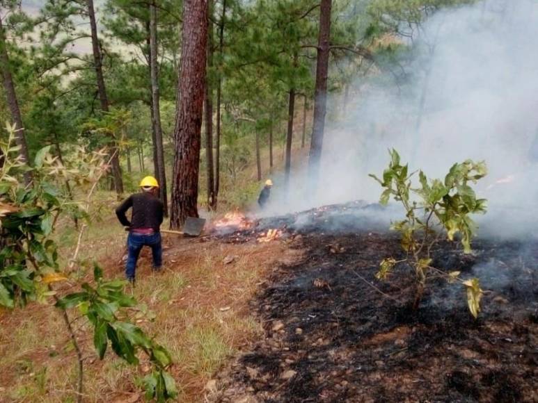 Con machetes, Batefuego y voluntad combaten incendio forestal en La Montañita (Fotos)