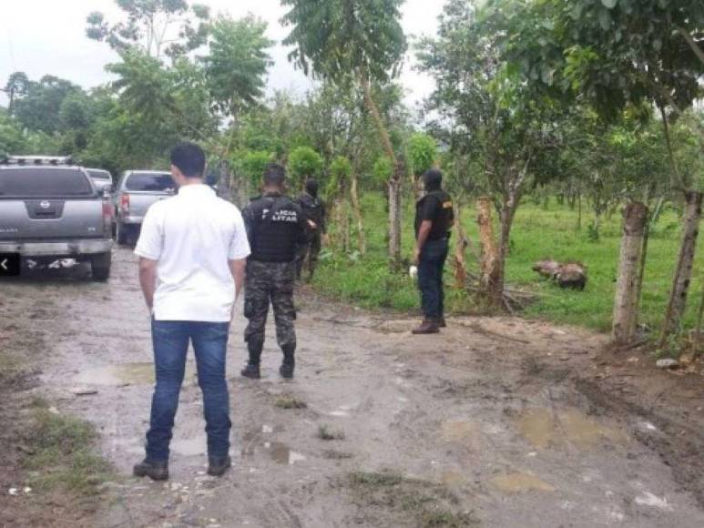 Estos son los bienes que serían devueltos a la familia Rosenthal