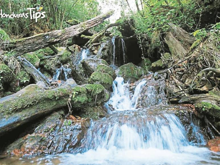 La Tigra, un lugar para compartir en familia en la capital