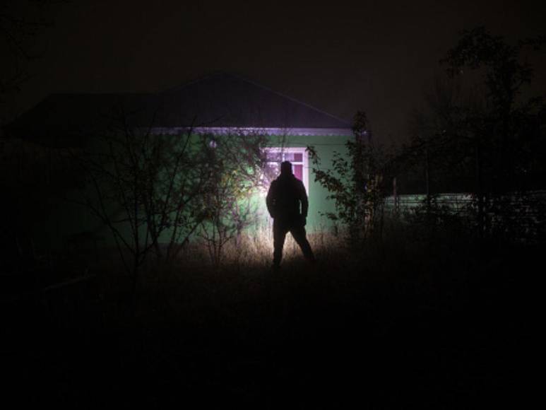 ‘Pablo EscoBear’, el oso que se comió más de 35 kilos de cocaína y murió por sobredosis