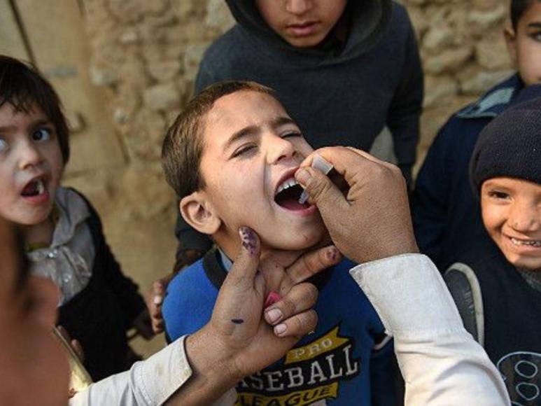 Viruela del mono, henipavirus y otras enfermedades de origen animal que alertan al mundo en 2022