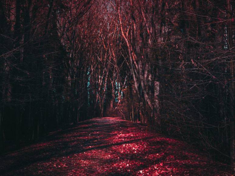 Stranger Things 5: Netflix lanza primer vistazo