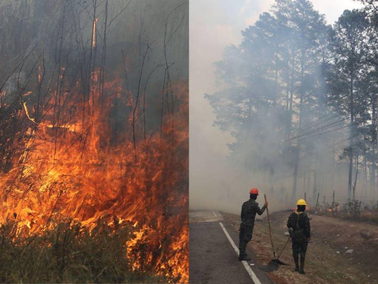 Incendio forestal destruye hectáreas de bosque y provoca una intensa capa de humo en Zambrano