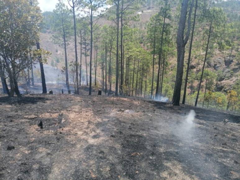 Con machetes, Batefuego y voluntad combaten incendio forestal en La Montañita (Fotos)