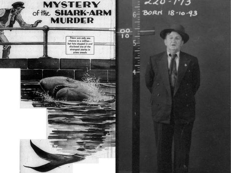 Un tiburón ayudó a resolver un crimen casi perfecto en Australia ¿Cómo lo hizo?