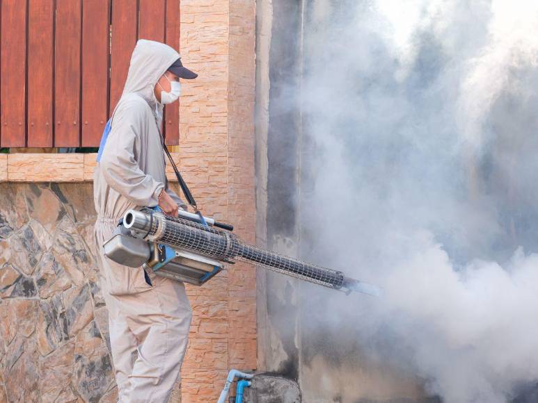 Prevenciones que los hondureños deben tomar para evitar el contagio del dengue