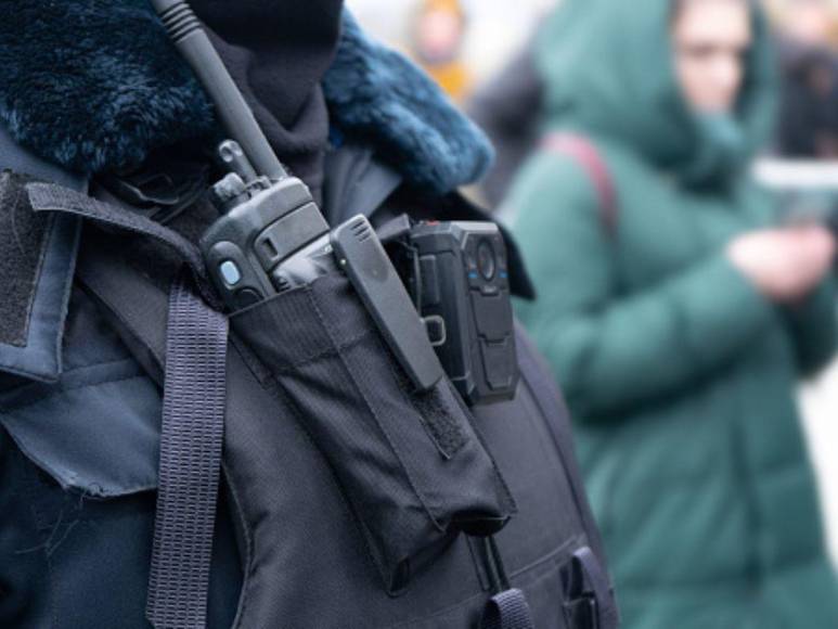 ‘Pablo EscoBear’, el oso que se comió más de 35 kilos de cocaína y murió por sobredosis