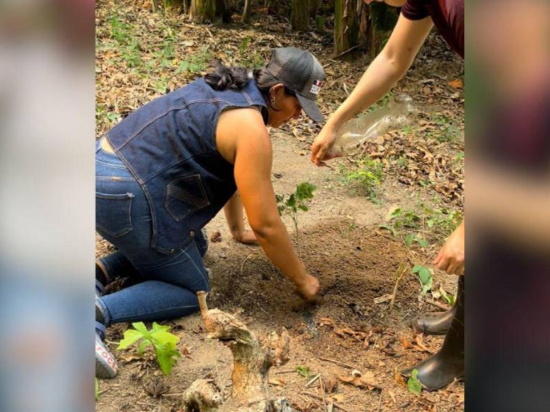 ¡Únete a la causa! Influencer hondureño crea campaña para plantar árboles