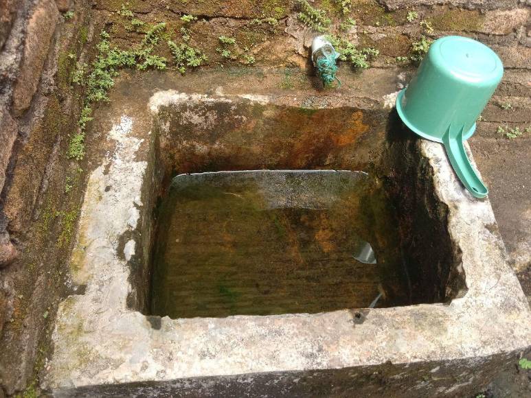 Prevenciones que los hondureños deben tomar para evitar el contagio del dengue