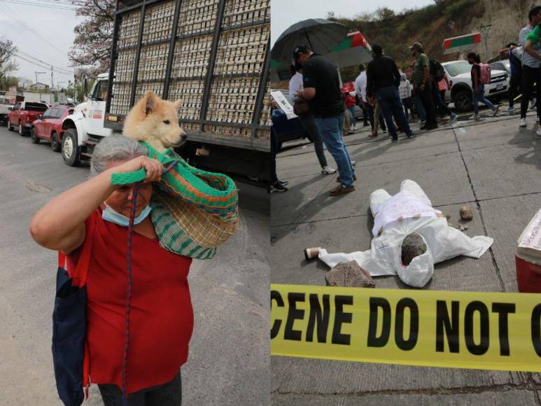 Con mascotas al hombro y largas caminatas: fotos del caos en la salida al sur por protesta del Ministerio Público