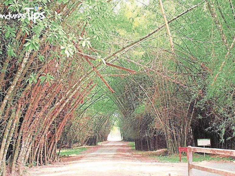 La Tigra, un lugar para compartir en familia en la capital