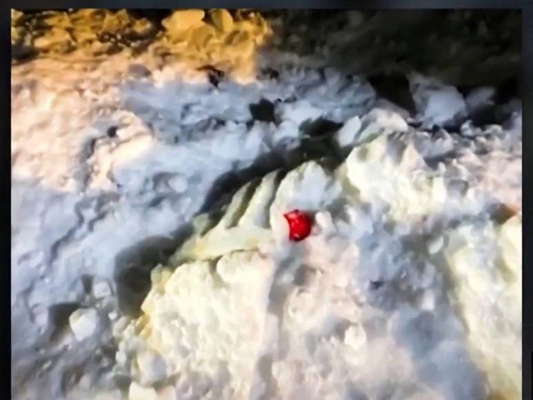 Caso de Karen Read, la mujer acusada de atropellar a su novio y dejarlo morir en la nieve