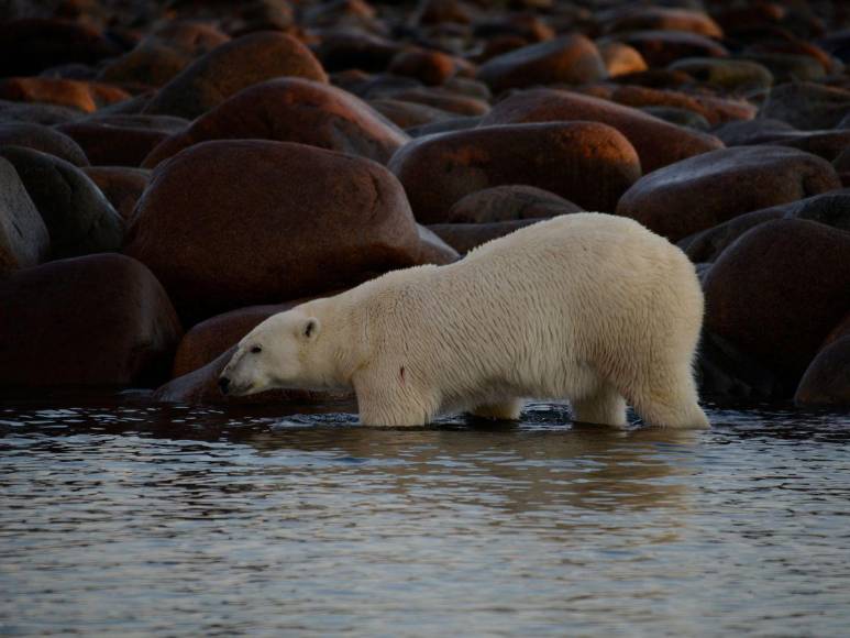 Los siete destinos más atractivos que ofrece Canadá