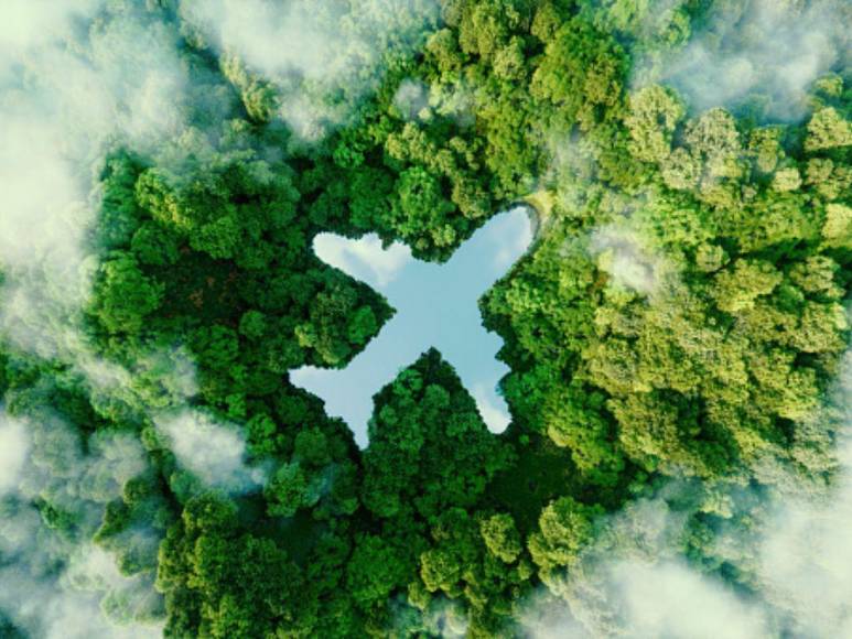 ‘Pablo EscoBear’, el oso que se comió más de 35 kilos de cocaína y murió por sobredosis