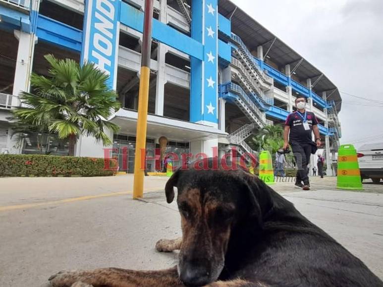 Caninos, Olímpico vacío y futbolistas listos: imágenes de la previa Honduras vs. México