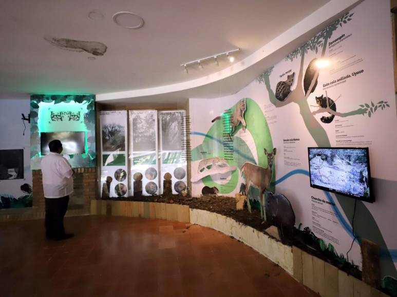 La Tigra, un lugar para compartir en familia en la capital