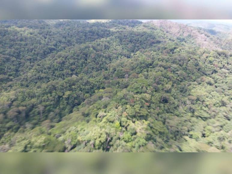 Narcotráfico, tala y siembra ilegal: el recorrido de EL HERALDO en La Mosquitia