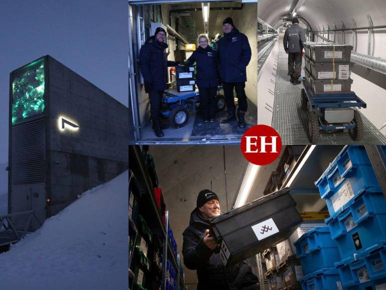 Así es la ‘bóveda del fin del mundo’, donde se guardan las semillas básicas ante cualquier catástrofe