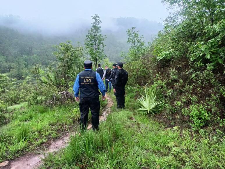 Boscoso y sin señal: la zona donde se hallaron los cuerpos de jóvenes raptados tras mudanza