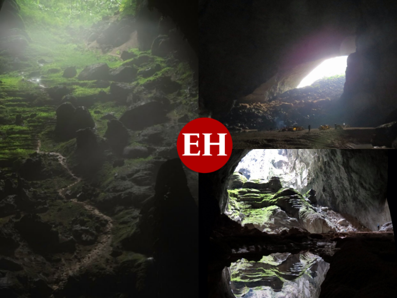 Son Doong, la cueva más grande del mundo con un paisaje espectacular y clima propio