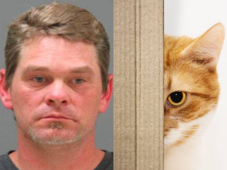 Culpó a un gato del crimen de su hija, fue descubierto y ahora pagará en prisión