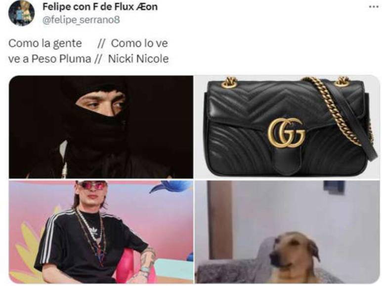 Los memes que ha generado el romance entre Nicki Nicole y Peso Pluma