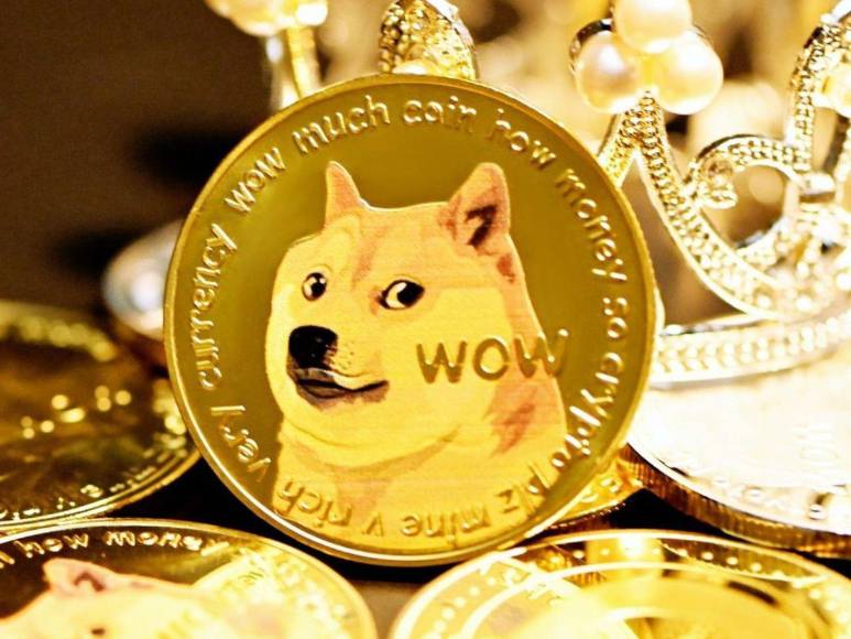 Muere Kabosu, la famosa perra detrás del meme Doge y la criptomoneda Dogecoin