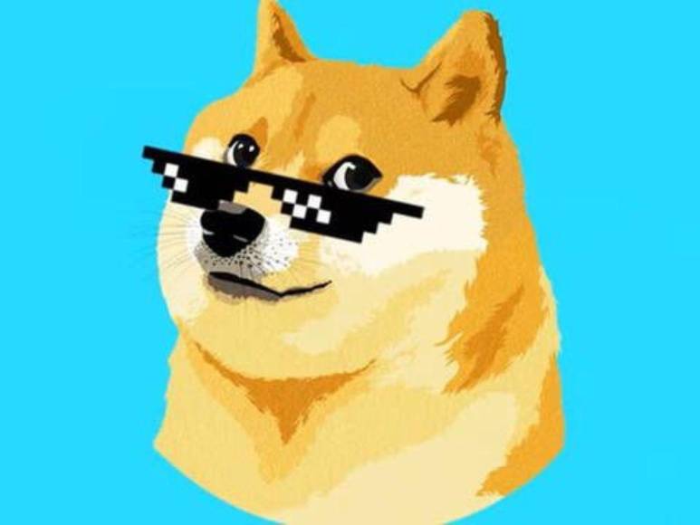 Muere Kabosu, la famosa perra detrás del meme Doge y la criptomoneda Dogecoin