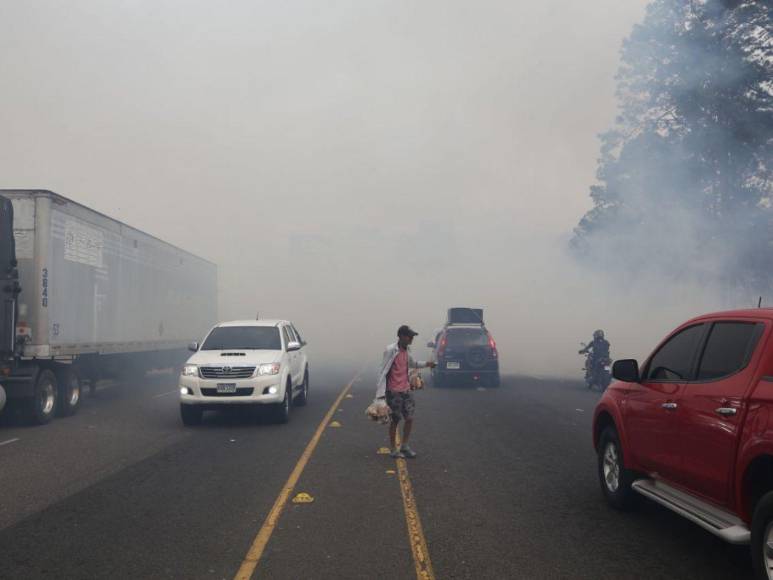 Incendio forestal destruye hectáreas de bosque y provoca una intensa capa de humo en Zambrano